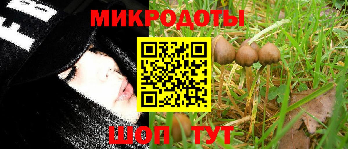Елизово  Псилоцибиновые грибы Magic Shrooms  Вход с VPN 