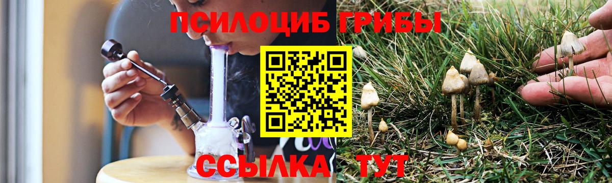 Галлюциногенные грибы Cubensis Елизово